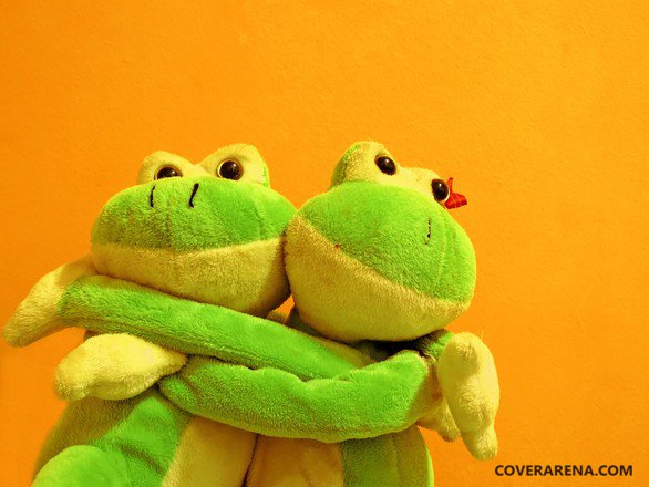 Little Frogs Cute Love