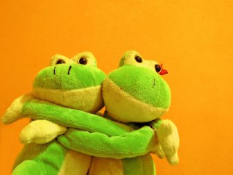 Little Frogs Cute Love Funny & Inspirational Photos